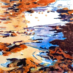 Diane Charyk&nbspNorris thumbnail 