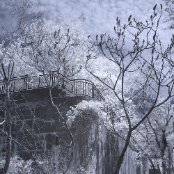 Michael &nbspPiantedosi thumbnail 