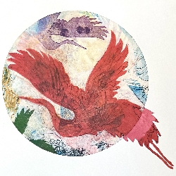 Joanne &nbspSimon thumbnail 