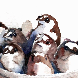 Adam &nbspAdkison thumbnail 