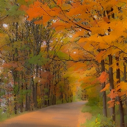 Bob &nbspBallou thumbnail 