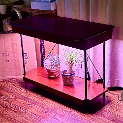 Brian &nbspGrimson thumbnail 