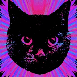 Allison &nbspTanenhaus thumbnail 