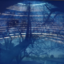 Kerrie &nbspKemperman thumbnail 