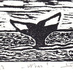 Dominique&nbspLecomte thumbnail 
