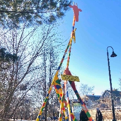 Hayward &nbspZwerling thumbnail 