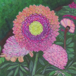 Sebastian &nbspRizzon thumbnail 