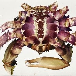 Christopher &nbspPullman thumbnail 