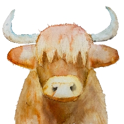 Jane &nbspLong thumbnail 