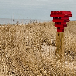 Daniel &nbspCoughlin thumbnail 