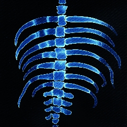 Piotr &nbspParda thumbnail 