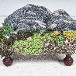 Danielle &nbspKrcmar thumbnail 