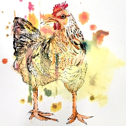 Nina&nbspBerkowitz Bock thumbnail 