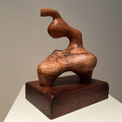 Fermin &nbspCastro thumbnail 