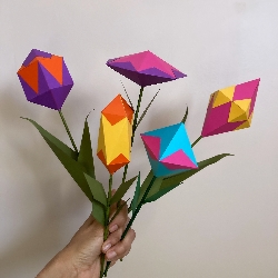 Dani &nbspTedesco thumbnail 