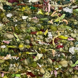 Louise &nbspKeogh Weed thumbnail 