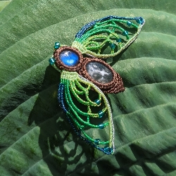 Morris &nbspStudio thumbnail 