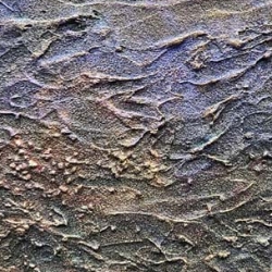 Peter Freeth&nbspBelford thumbnail 