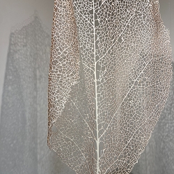 Beth&nbspGalston thumbnail 