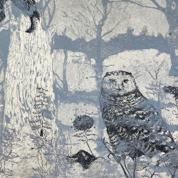 Boriana &nbspKantcheva thumbnail 